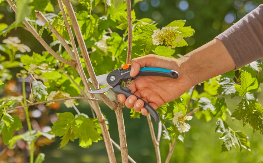 Sekator do śweżych gałęzi PremiumCut Gardena - obrazek 8