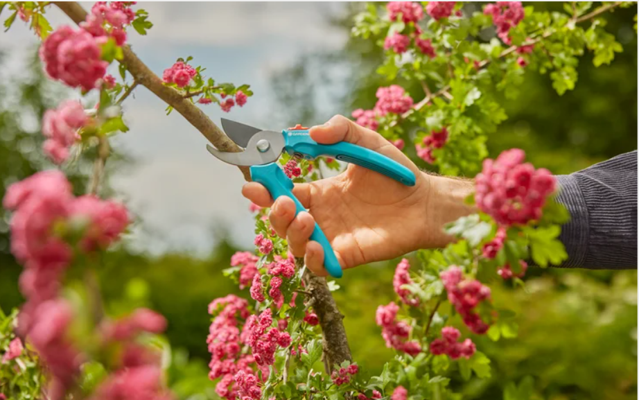 Sekator ogrodowy EasyCut Gardena - obrazek 6